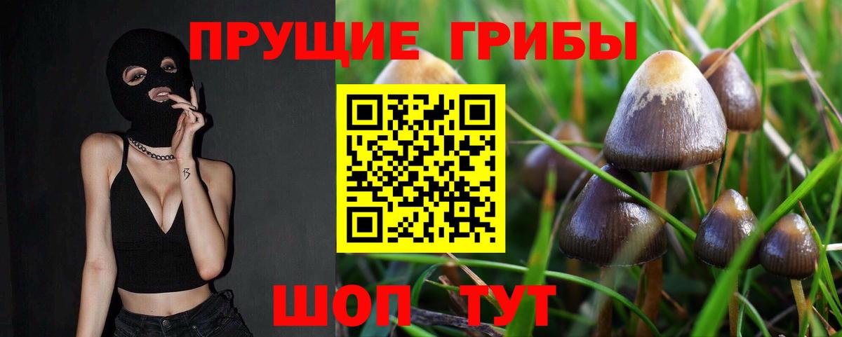 Тольятти  Галлюциногенные грибы Magic Shrooms  Вход с VPN 